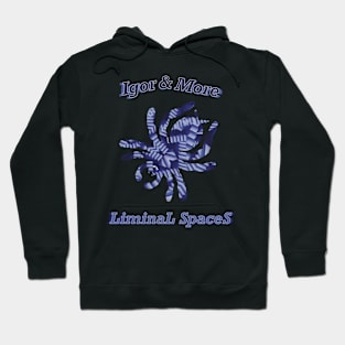 Igor & More Tarantula Liminal Stairs Misty Haze Hoodie